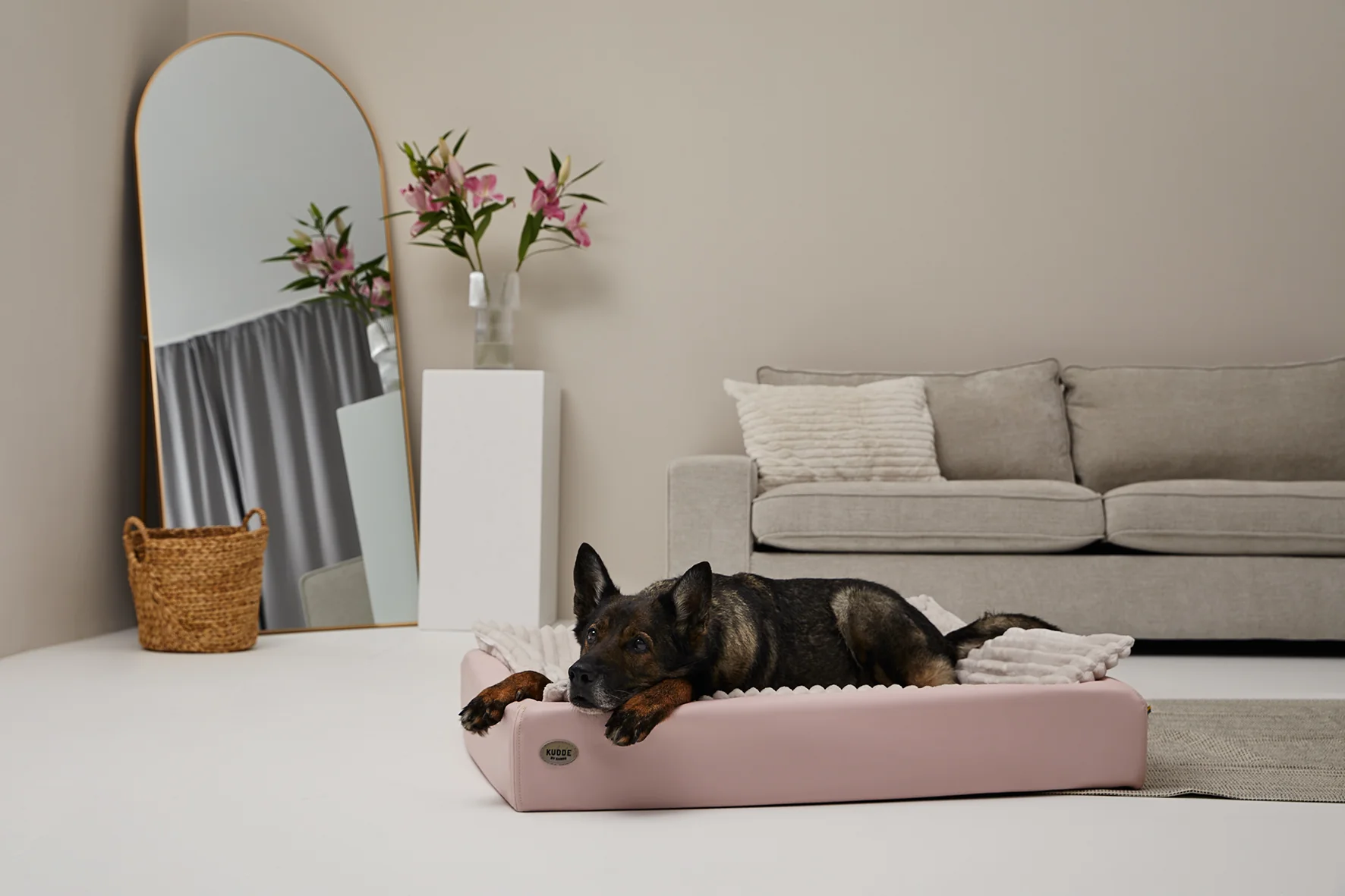 Vorschaubild 2